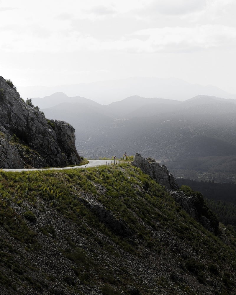 Road trips