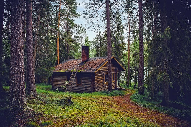 Secluded Cabin in the Woods